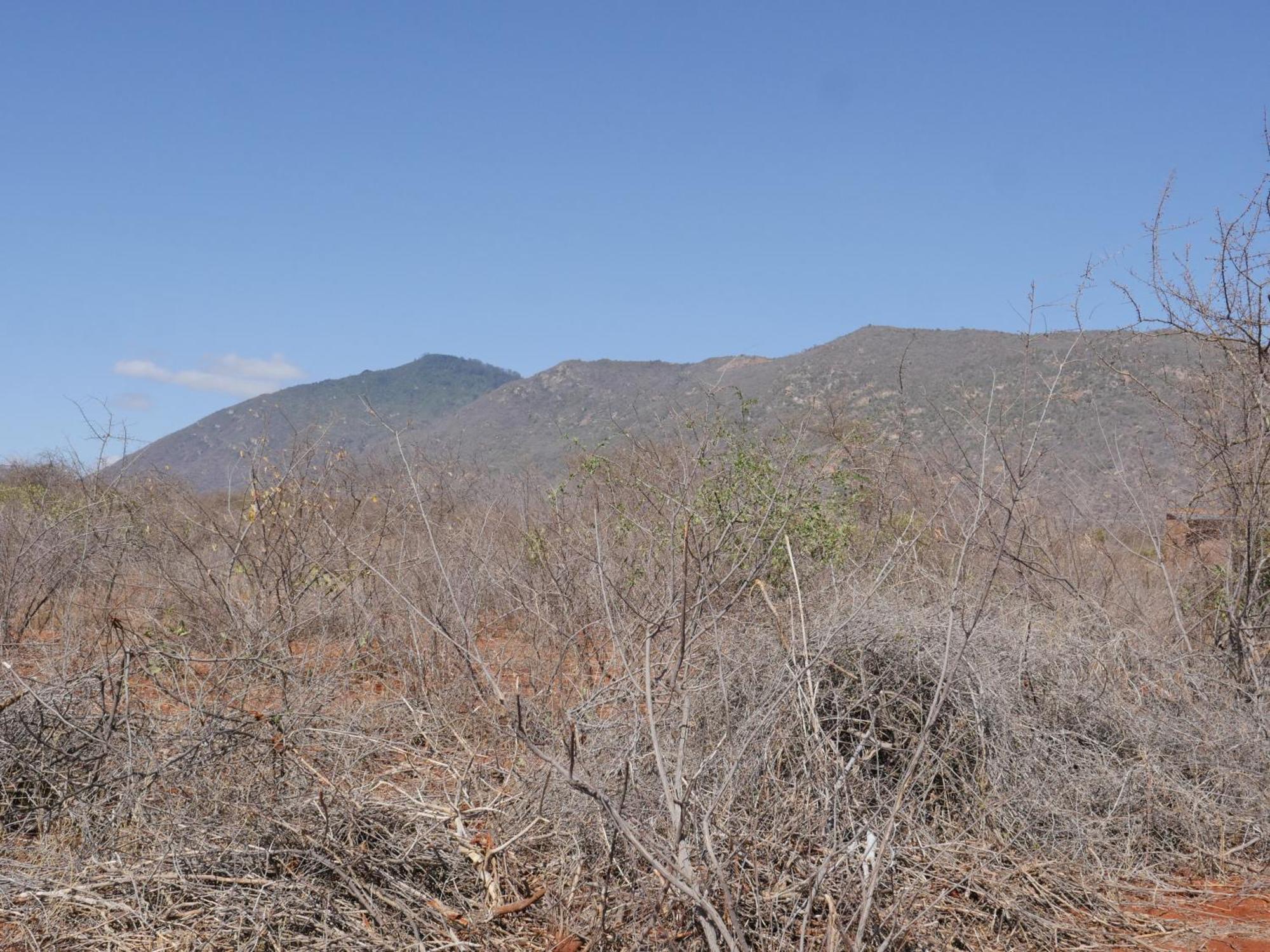 Tausa Tsavo Eco Lodge Voi Εξωτερικό φωτογραφία