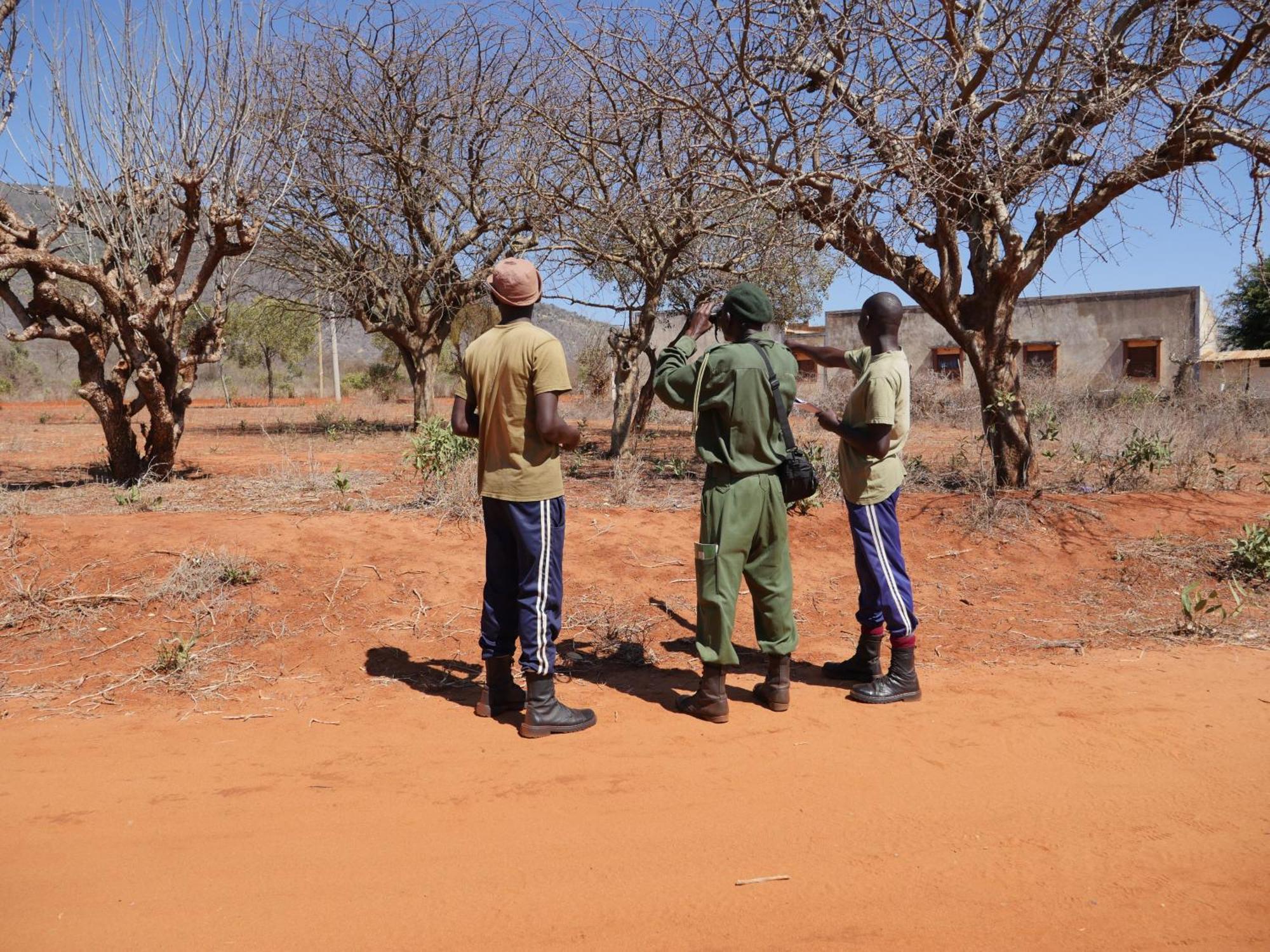 Tausa Tsavo Eco Lodge Voi Εξωτερικό φωτογραφία