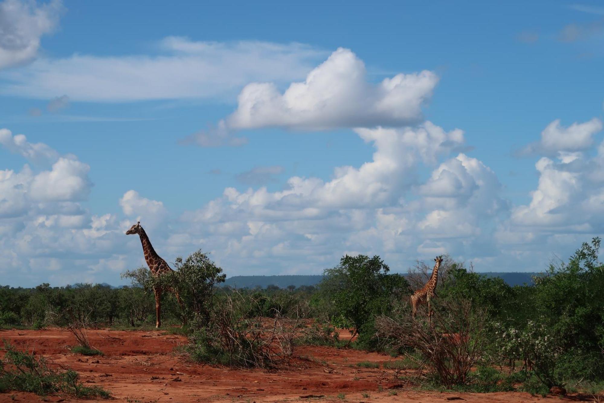 Tausa Tsavo Eco Lodge Voi Εξωτερικό φωτογραφία